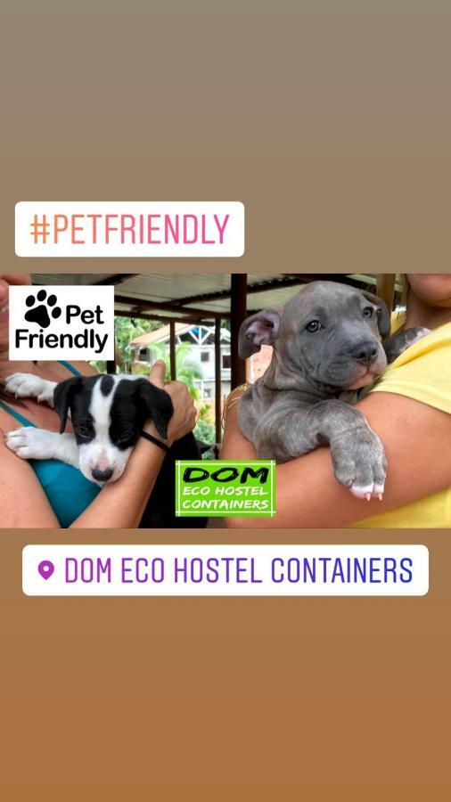 Dom Eco Hostel Containers Sao Sebastiao  Exteriér fotografie